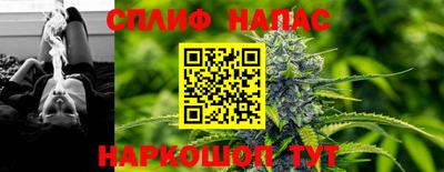 индика Кулебаки