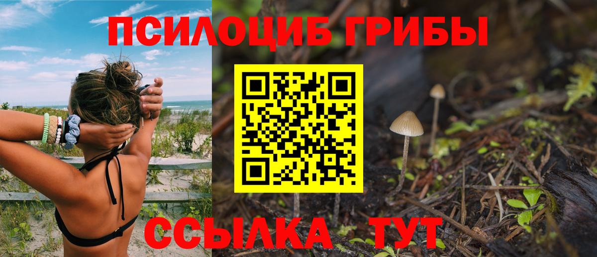 Галлюциногенные грибы MAGIC MUSHROOMS  купить наркоту  Псилоцибиновые грибы GOLDEN TEACHER  Урус-Мартан  Вход с VPN 